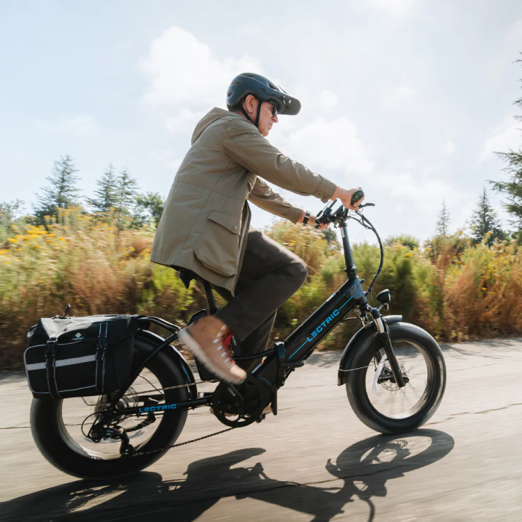 Lectric eBike Company Profile