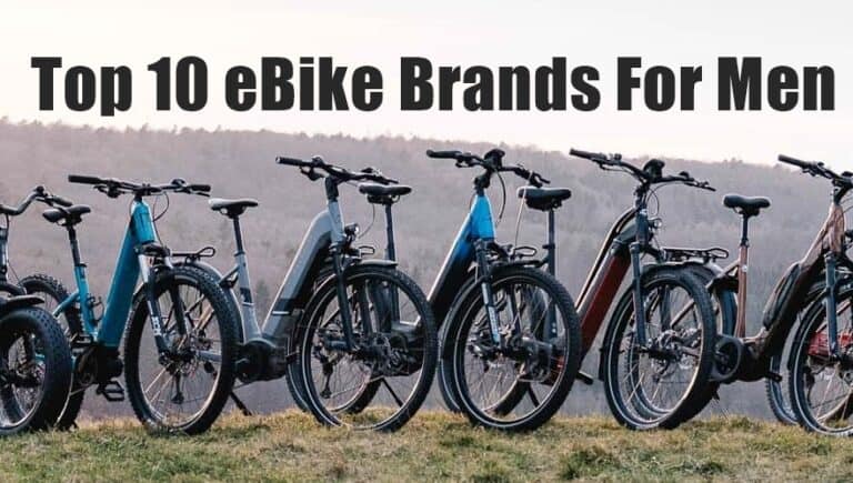 top ebike brands