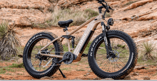 Spark Y Fat Tire Electric Bike